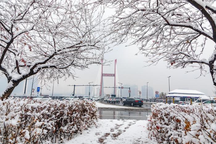 11月1日,吉林省吉林市迎来今年首场降雪,鹅毛大雪让城市一片银白。图/ic photo