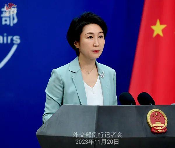 毛宁 图源:外交部网站