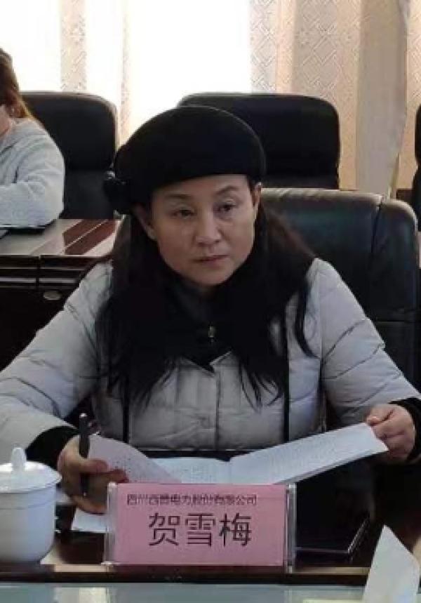 贺雪梅 凉山州金融工作局网站 图