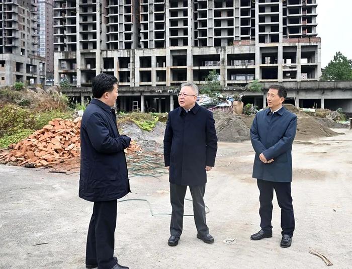 11月14日,沈晓明不打招呼暗访了鹤城区天星浅水湾楼盘烂尾长达十多年之久的问题。图源:湖南日报